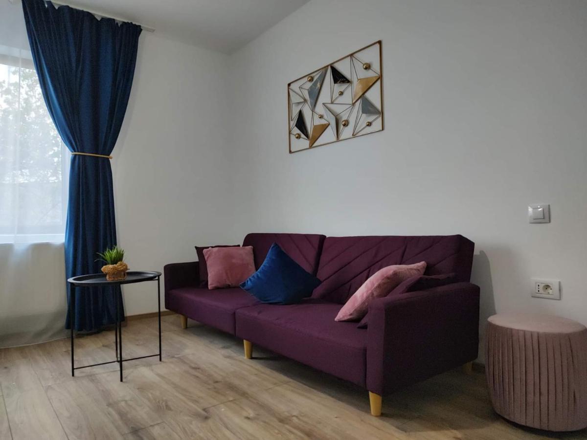 Dania&Petru Residence Tirgu Ocna Exterior photo